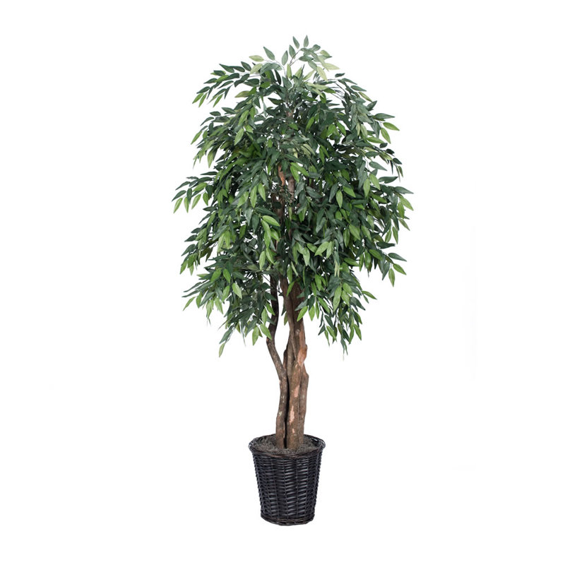 Arbre 72 po Smilax, H 72 po x l 32 po x P 32 po
