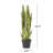 Faux Snake Plant (Sansevieria) Plant-881044442