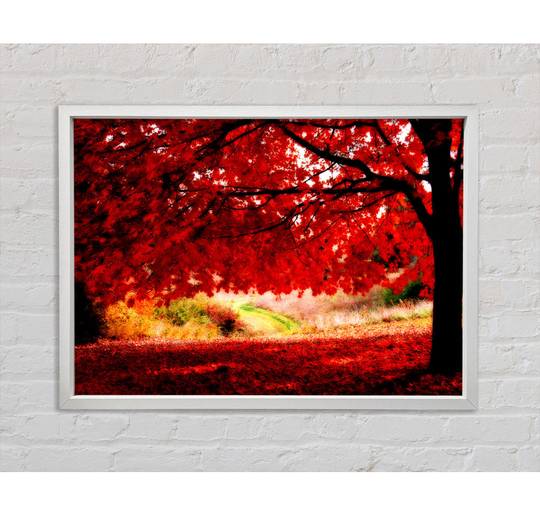 Roter Herbstbaum - Druck