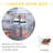 4 Pair Stackable Shoe Storage Box