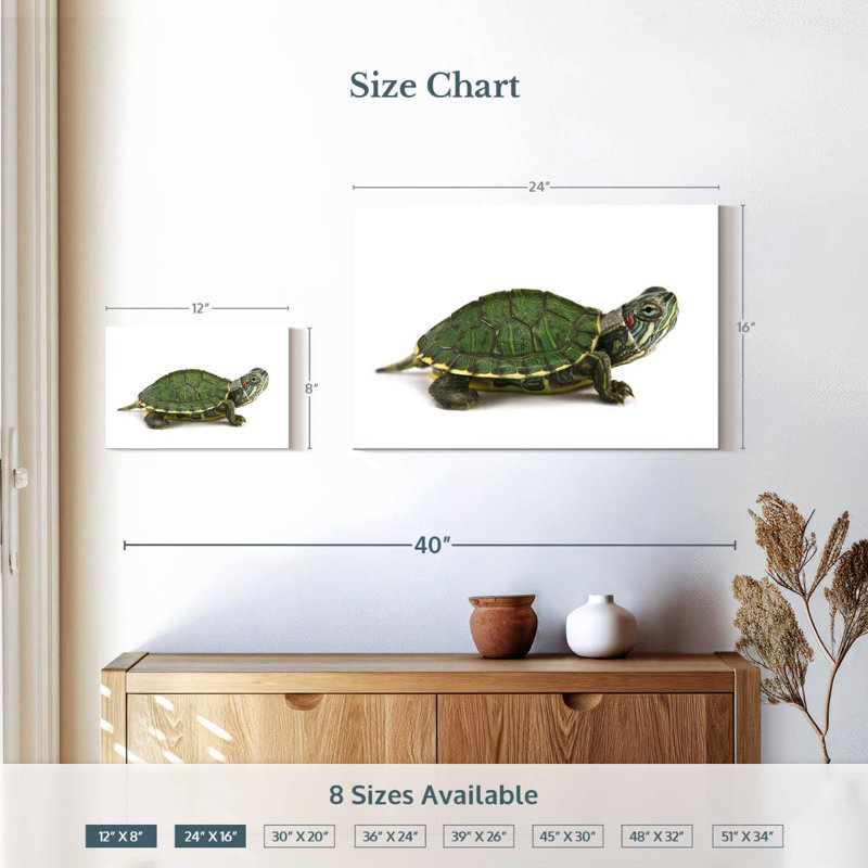 Red Eared Turtle, 16" H x 24" W