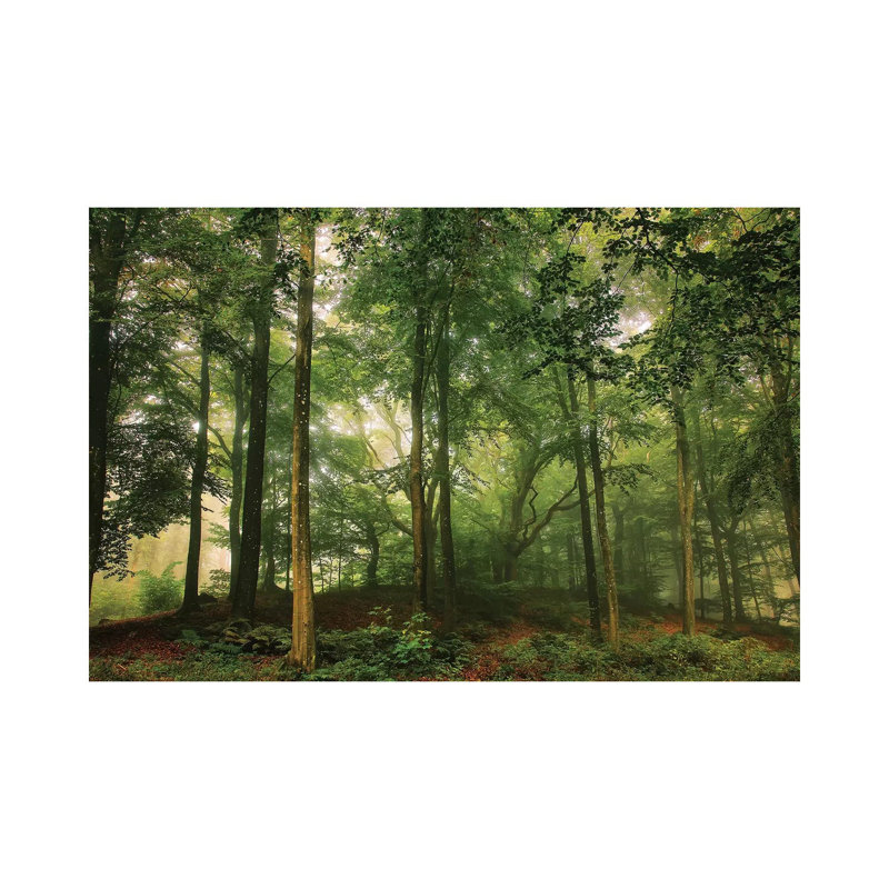 Welcome in the Forest 1 Piece Wrapped Canvas Wall Art, 20.32 cm H x 30.48 cm W