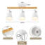 Spotlight-1810901587