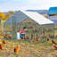 Cammock 65m² Chicken Coop