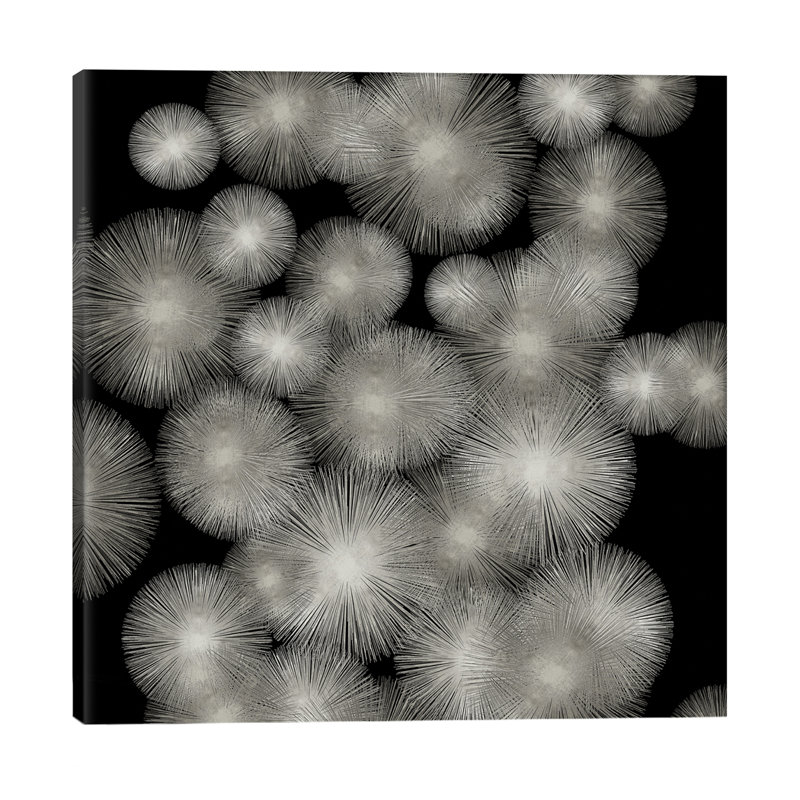 Silver Sunbursts by Abby Young - Wrapped Canvas Print, 45.72 cm H x 45.72 cm W x 1.91 cm D