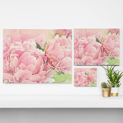 Rose pivoines, impression sur toile