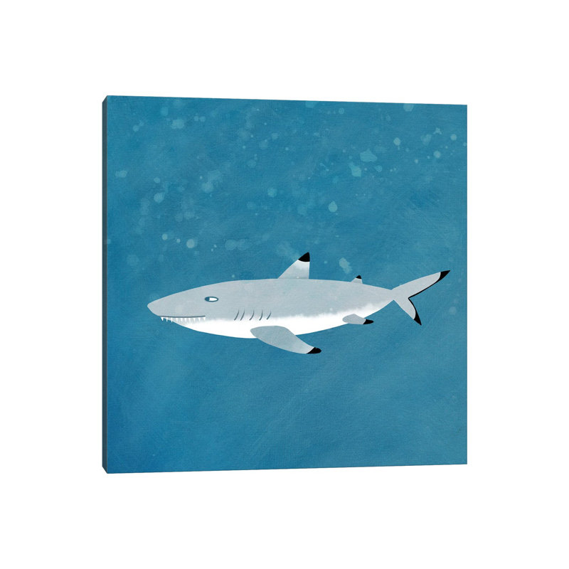 Black Tipped Reef Shark by Nic Squirrell - Wrapped Canvas Gallery-Wrapped Canvas Giclée, 93.98cm H x 93.98cm W