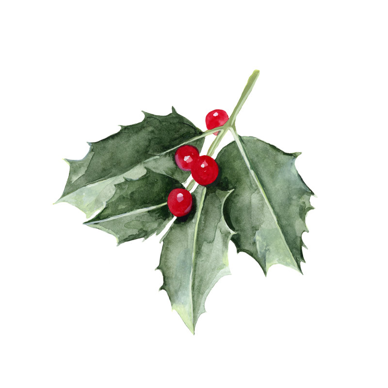 Christmas Holly II by Emma Scarvey - Wrapped Canvas Print, 51cm H x 51cm W