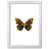 White Grain Frame is unavailable
