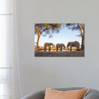 Africa, Botswana, Senyati Safari Camp by Jaynes Gallery - Wrapped Canvas Print