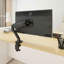 Dellonda Desktop Mount