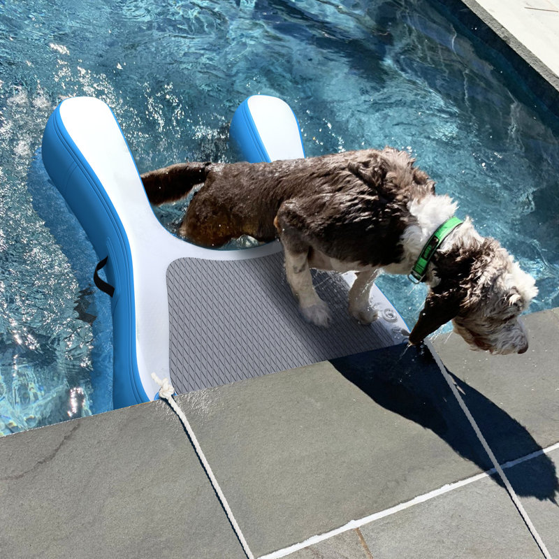 Inflatable Floating Large Dog  Water Ramp Ladder for Pools, Docks, Boats with Anti-Slip Mat