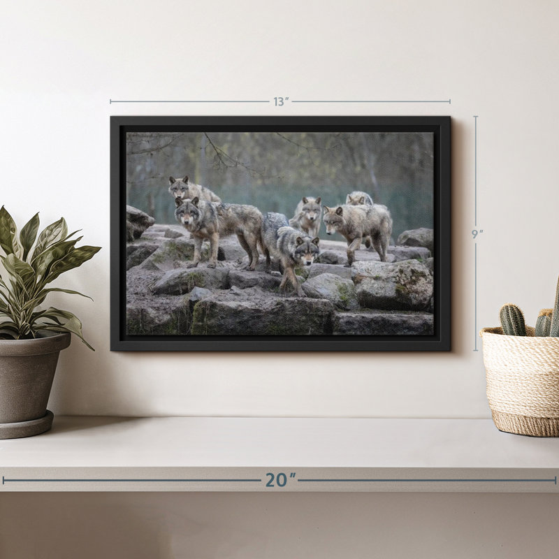 «Gray Wolves Wall Art», H 9 po x l 13 po