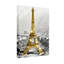 Paysages pittoresques et urbains, Tour Eiffel, noir et blanc, horizon de Paris-1287747004