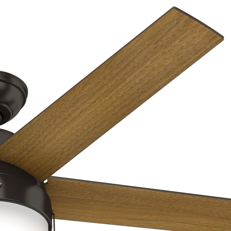 52" Anslee 5 - Blade Standard Ceiling Fan with Pull Chain and Light Kit Included, Premier Bronze