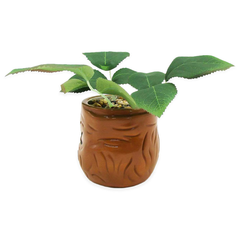 5.5'' Faux Succulent Plant in Ceramic Pot