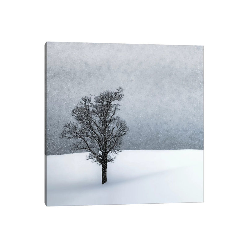 Lonely Tree Idyllic Winterlandscape 1 Piece Wrapped Canvas Wall Art, 45.72 cm H x 45.72 cm W x 3.175 cm D
