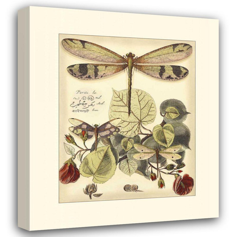 «August Grove® Vision Studio Gallery», art sur toile tendu: DragoFootballies II fantaisiste, H 23 po x l 20 po