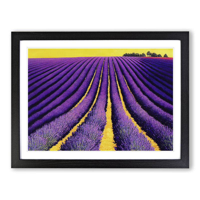 Flawless Lavender Flower Field - Single Picture Frame Print, Black, 46cm H x 64cm W x 2cm D