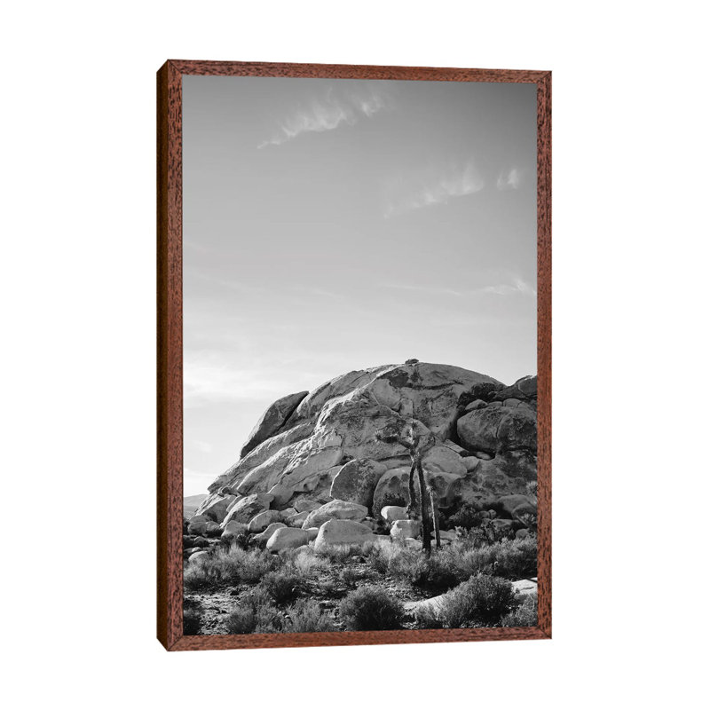 Joshua Tree National Park XV by Bethany Young - Print on Canvas, Classic Brown Wood Framed, 101.6cm H x 66.04cm W x 3.81cm D