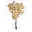 0.25'' Plant