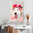 Brampt Cute Husky-108566514