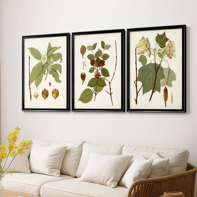 Antique Leaves I - Toile tendue avec châssis sur mesure - 3 pièces, Noir, H 21 po x l 30 po