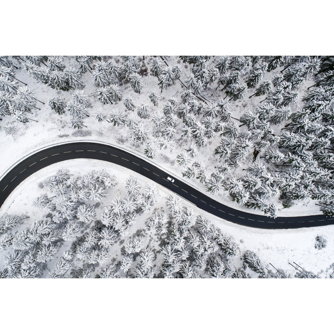 Straße durch den winterlichen Wald von Ollo - Drucken