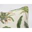 Les Fougeres Pillow