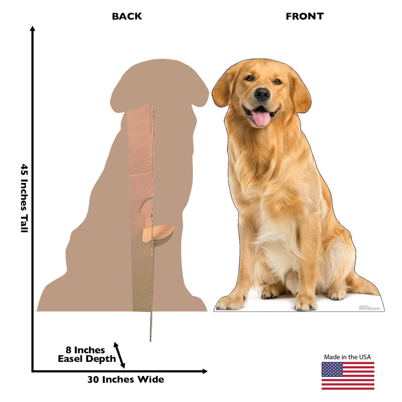Golden retriever