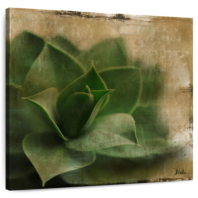 Harnek Succulent II, 10" H x 10" W