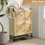 Armoire à chaussures-1349336291