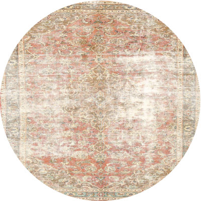 Citori Oriental Indoor Rug