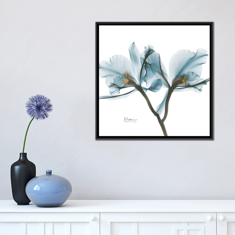 «Orchid», reproduction d'impression sur toile, H 18 po x l 18 po x P 1,5 po, Toile avec cadre noir, Pas de tapis