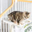 Arbre à chat en bois de pin véritable de qualité supérieure 54 po