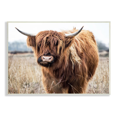 Portrait de bovins qui broutent des cornes par Amy Brinkman