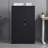 25.4'' Wide Steel File Cabinet
