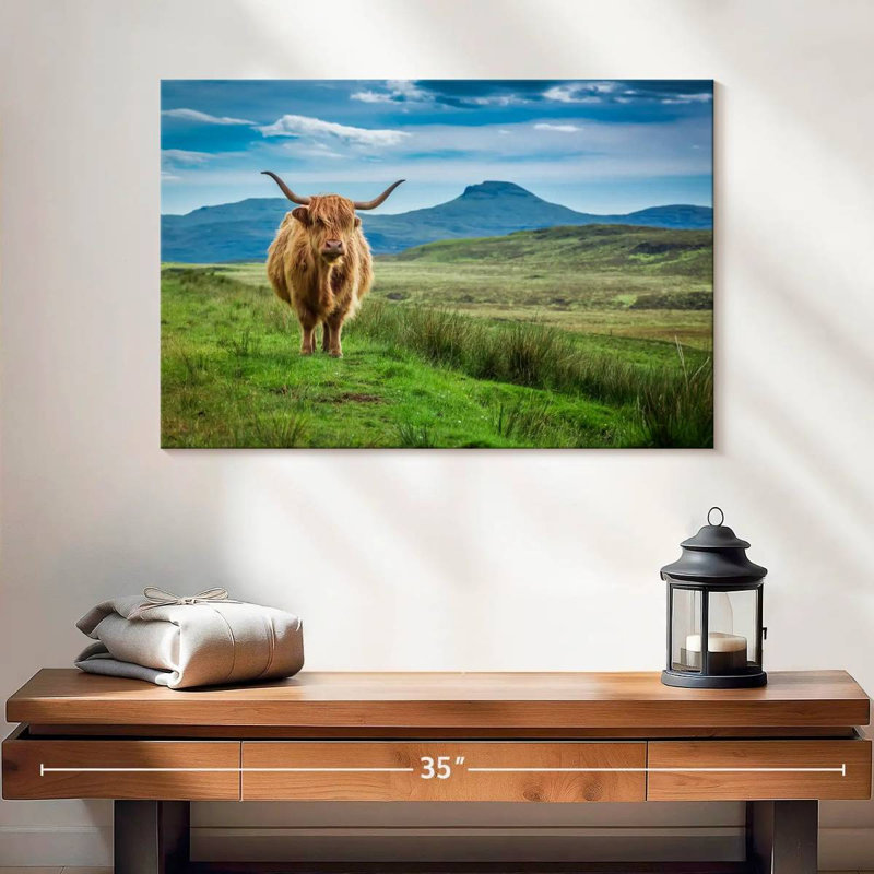 Brampt Skye Highland Cow, H 16 po x l 24 po