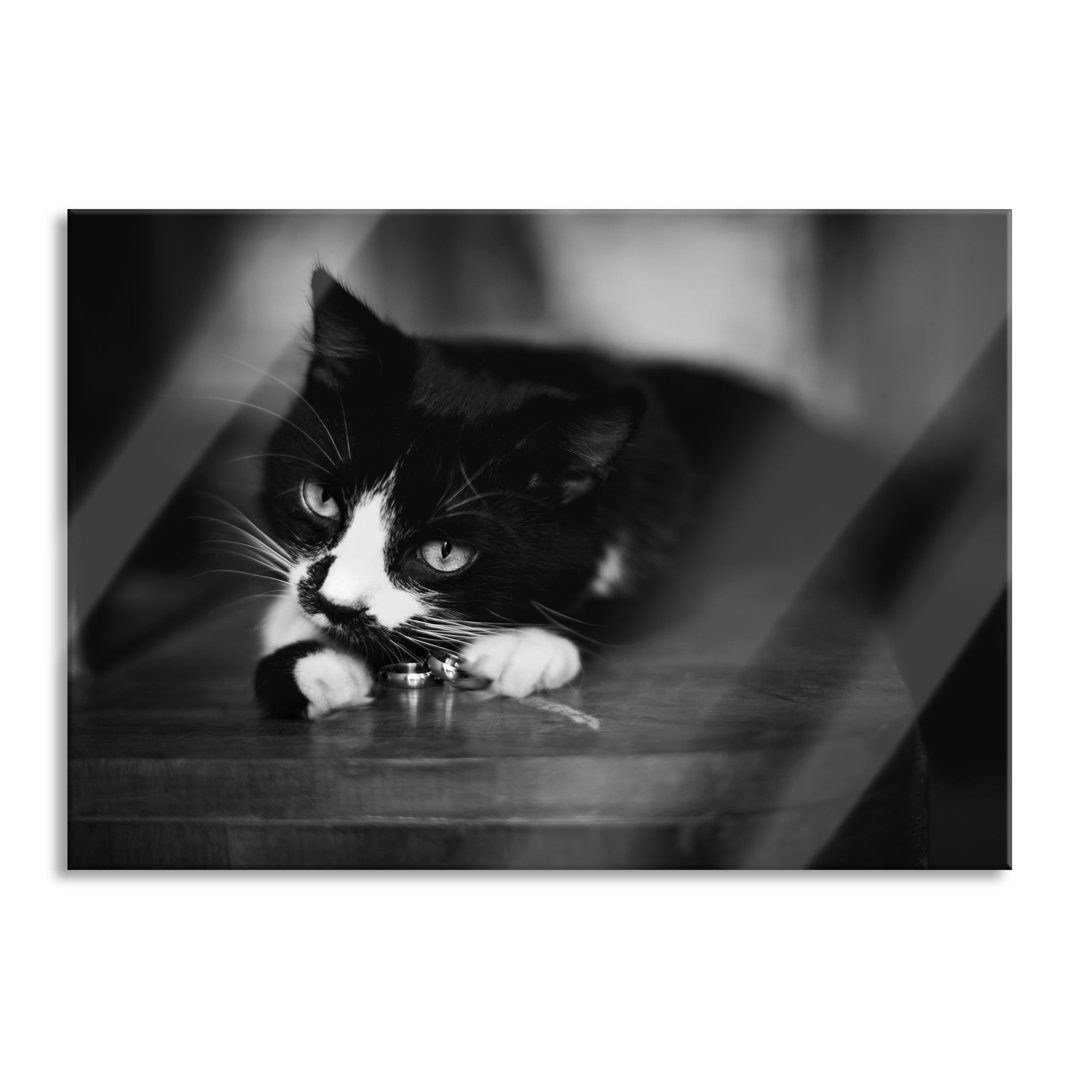 Glasbild Katze spielt mit Ehering