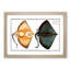 Sharp Nosed-Ray Fish by M.E. Bloch - Picture Frame Painting Print-55619348-55619355
