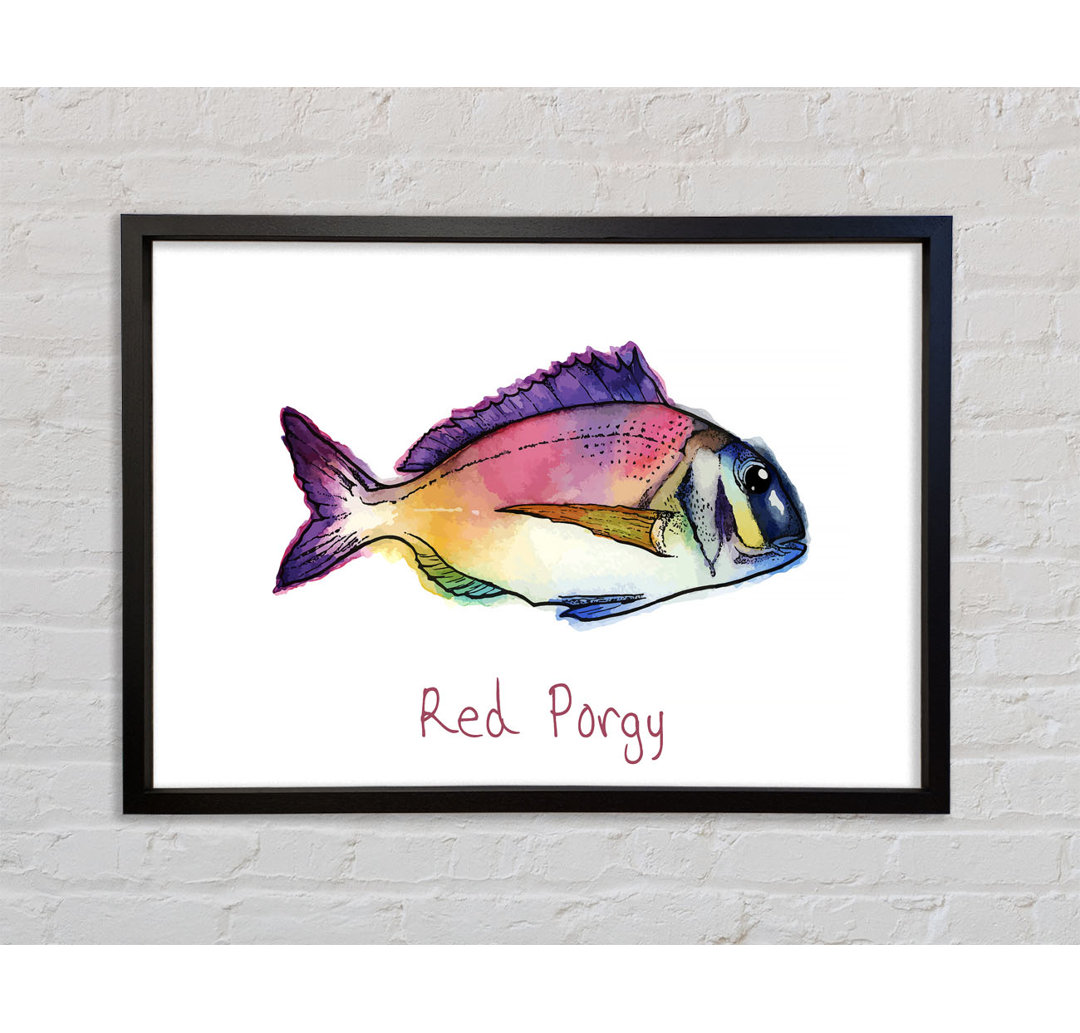 Red Porgy Rainbow - Einzelner Bilderrahmen Kunstdrucke auf Leinwand