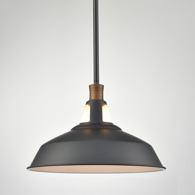 Ayushi 1 - Light Black Dome Pendant