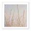 Hoar Frost White Print by Pernille Westh-48618356-48618359