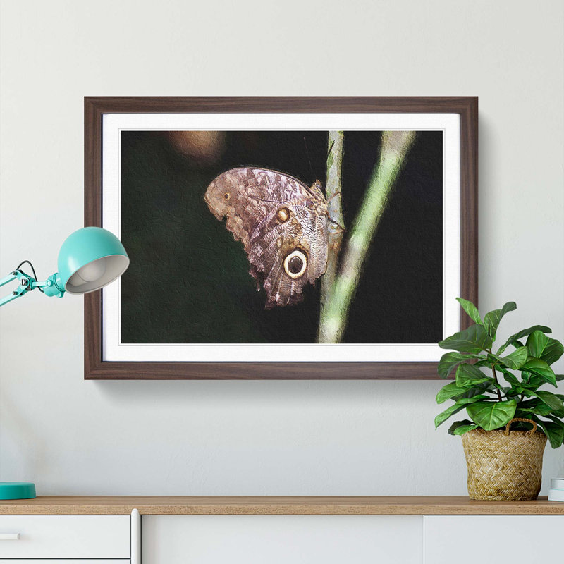 Beauty Of A Butterfly - Single Picture Frame Painting, Walnut Framed, 24cm H x 33cm W x 2cm D