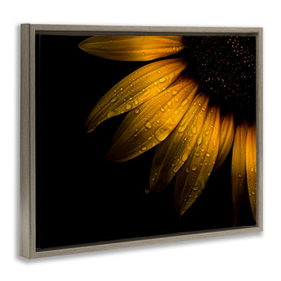 Gouttelettes d'eau sur un cadre flottant tournesol, design par Brian Carson