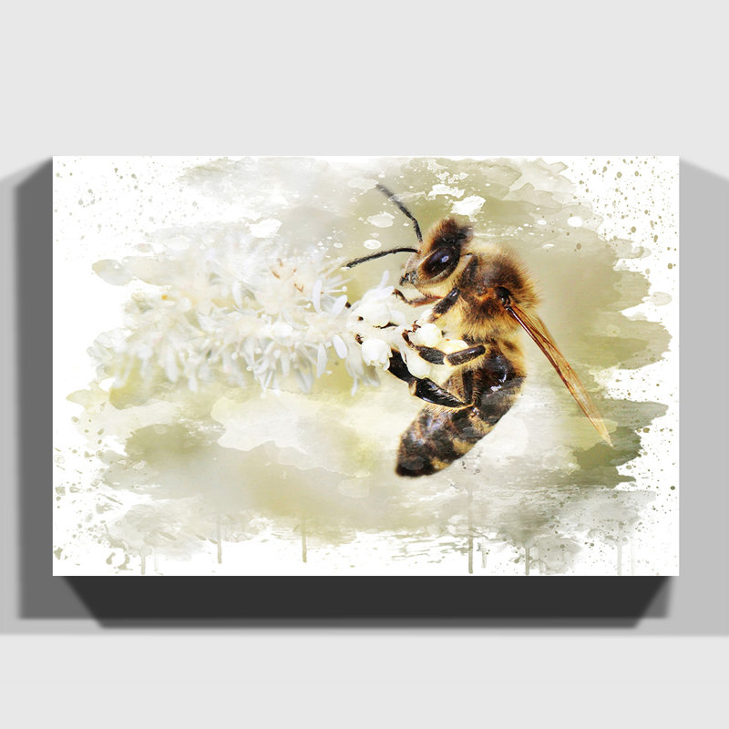 Bumble Bee Collecting Pollen Graphic - Wrapped Canvas, 50cm H x 76cm W, Wrapped Canvas