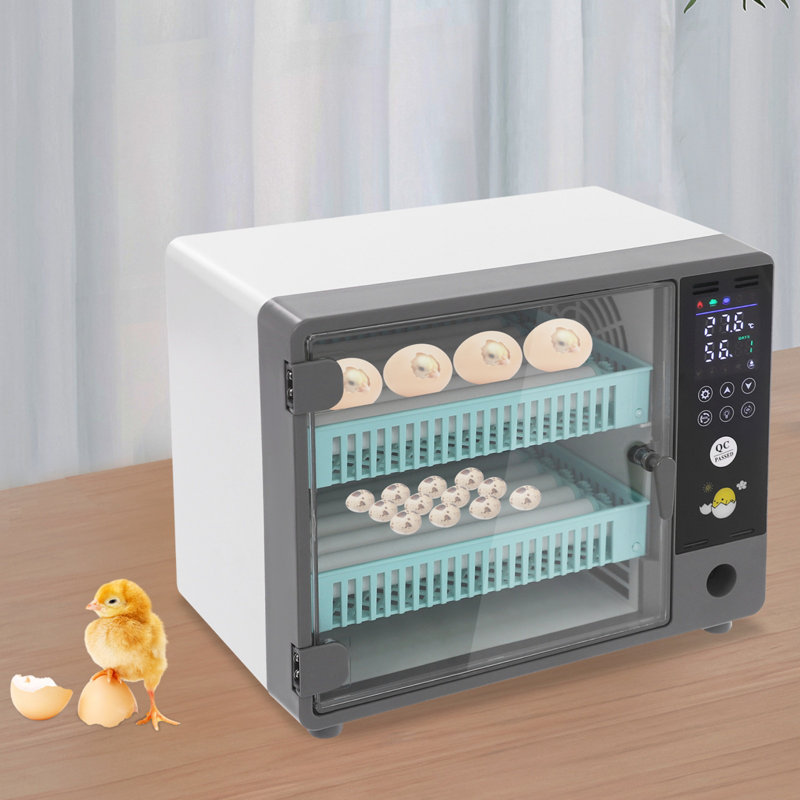 Egg Incubator