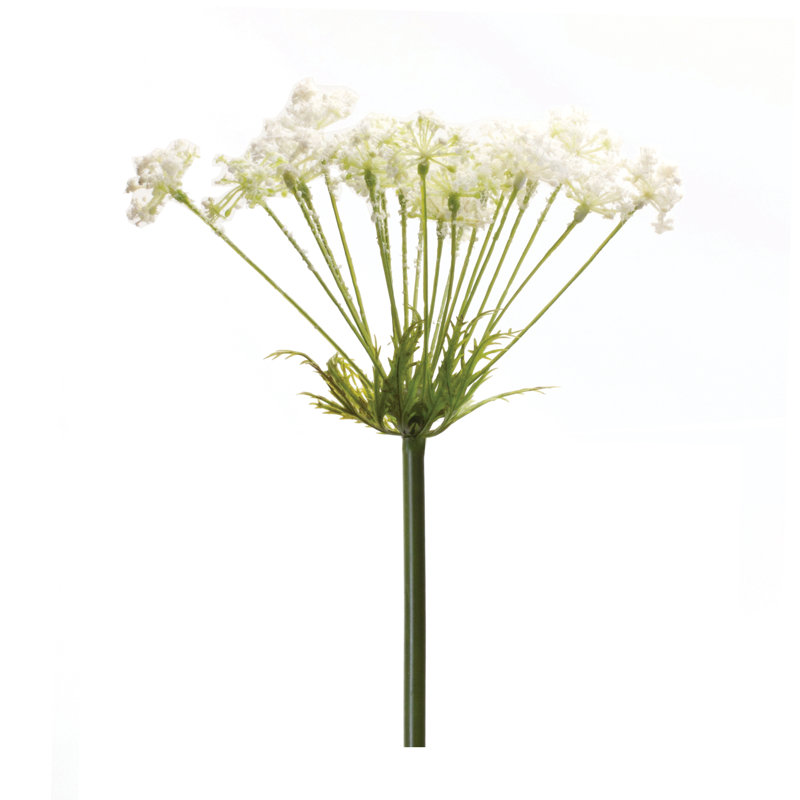 Arrangement