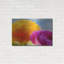 "Renoncule en orange et rose" par Pamela Plummer-62858382