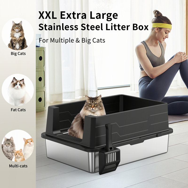 Grande litière pour chat en acier inoxydable sans couvercle